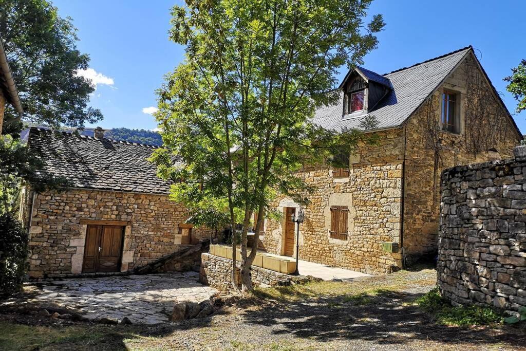 Maison Traditionnelle En Lozere Saint-Saturnin  Exterior foto